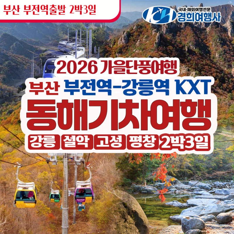 [부산출발]동해기차여행 2박3일 KTX-이음 타고 떠나는 강원도 가을 낭만 투어[경희여행사]