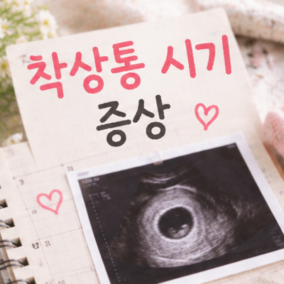 착상통 겪은 시기 증상 통증 느낌 위치 생리통 차이점