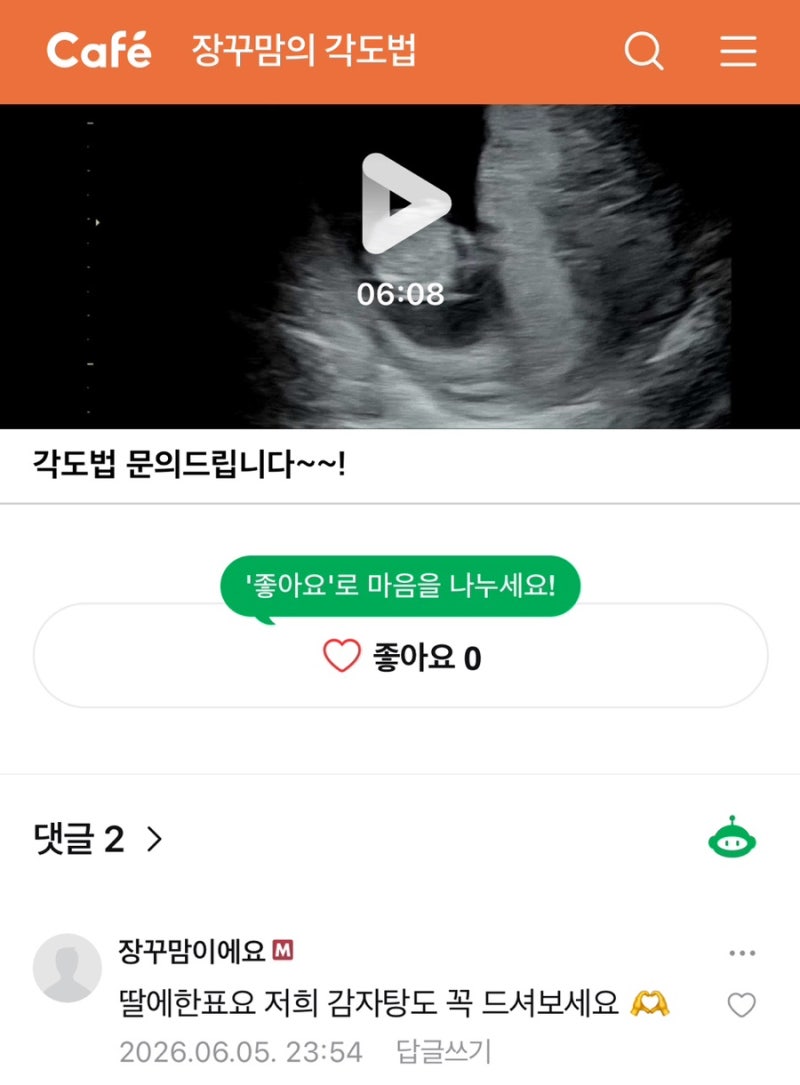 12주 각도법 성별예측결과?! (장꾸맘, 베이비빌리, 쳇GPT, 제미나이)