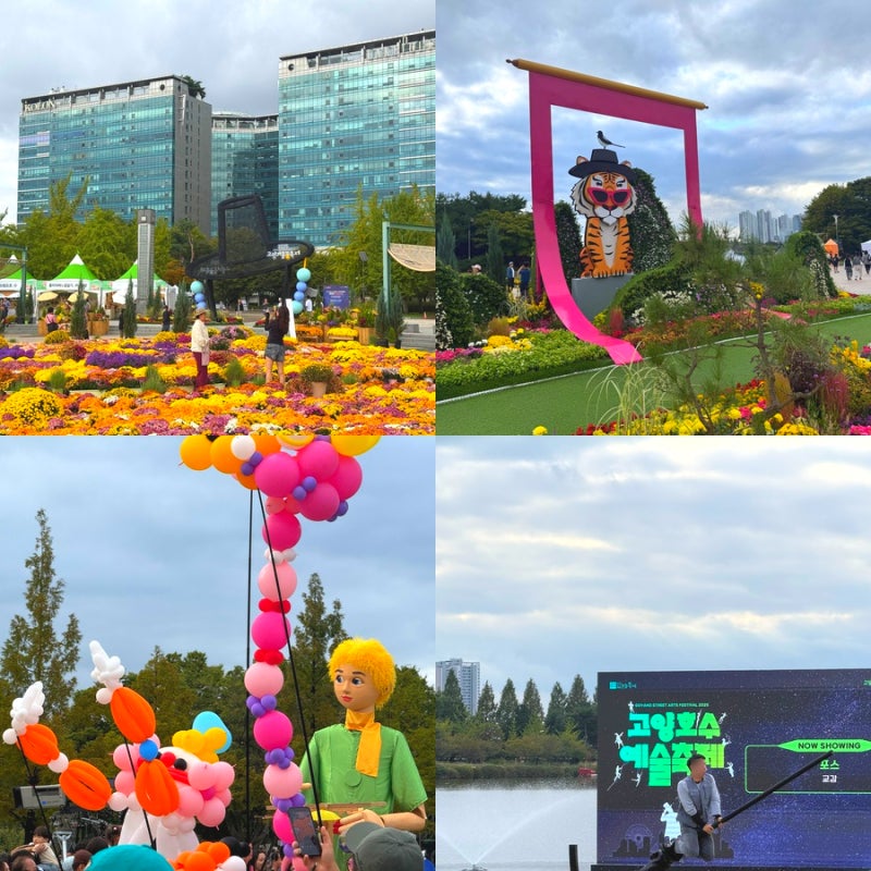고양호수예술축제 불꽃놀이 드론쇼 및 고양 가을 꽃축제 일정 일산 호수공원 데이트코스 놀....