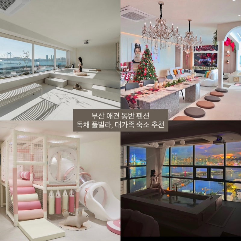 부산 애견동반 펜션 독채 풀빌라, 감성 숙소 모음집