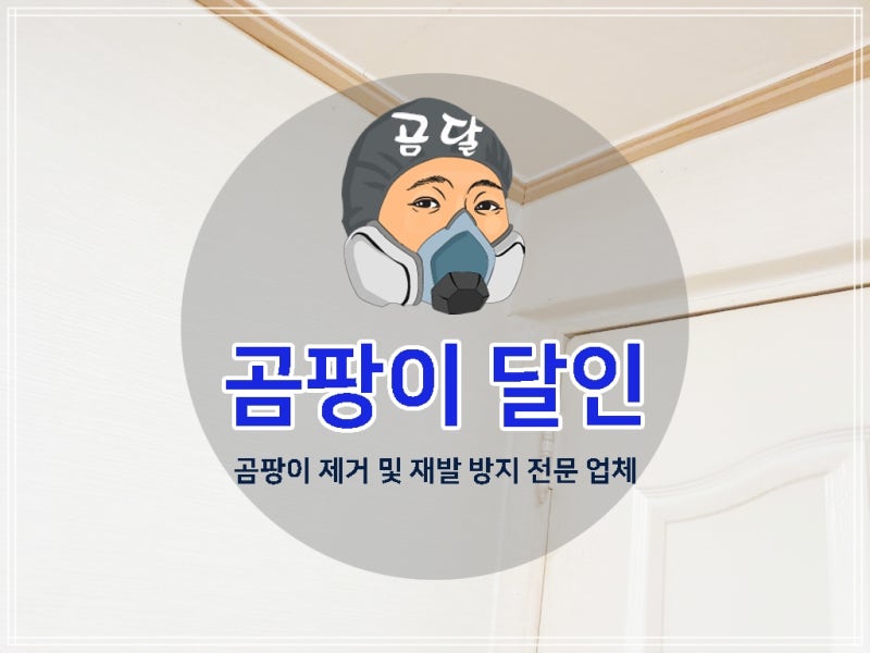 붙이는 벽지 학생 방 창틀 위쪽에 번진 결로 곰팡이 제거 시공 사례