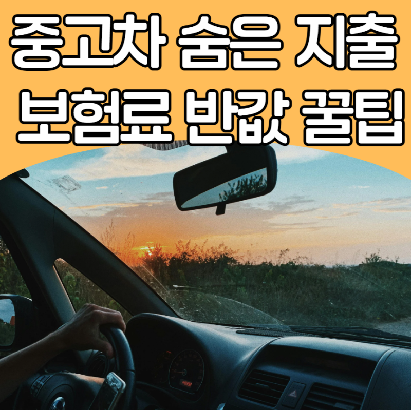 월급 250만 원 직장인의 현실 유지비... 취등록세, 매도비, 첫차 보험료 폭탄 피하기! 중고차 ....