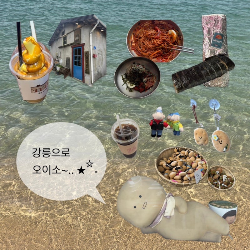 강릉 1박2일 뚜벅이여행 코스 | 가볼만한 곳, 맛집, 카페, 소품샵 추천