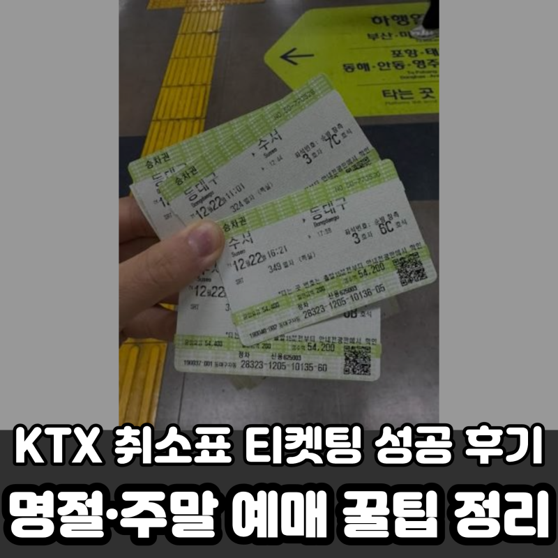 KTX 취소표 티켓팅 성공 후기와 명절·주말 예매 꿀팁 정리
