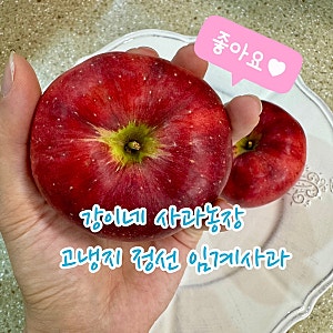 봄날 이야기, 고냉지 정선 임계사과 꼬꼬마 구매후기, 강이네 사과농장