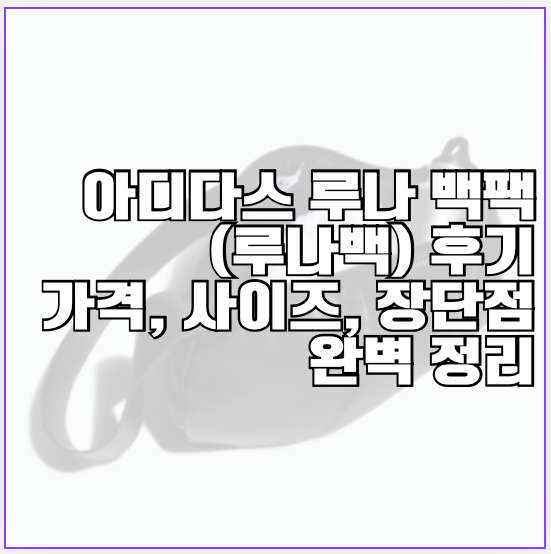아디다스 루나 백팩(루나백) 후기 가격, 사이즈, 장단점 완벽 정리