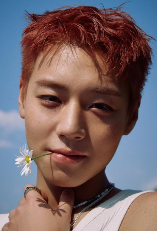 워너원 박지훈 vs 배우 박지훈... 아이돌 시절과 지금 비교해보니 프로필 근황 작품