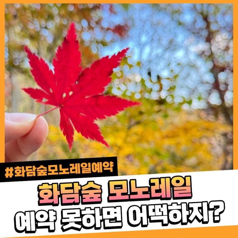화담숲 예약 성공했는데 모노레일은 마감. 아이랑 갈 수 있을까?