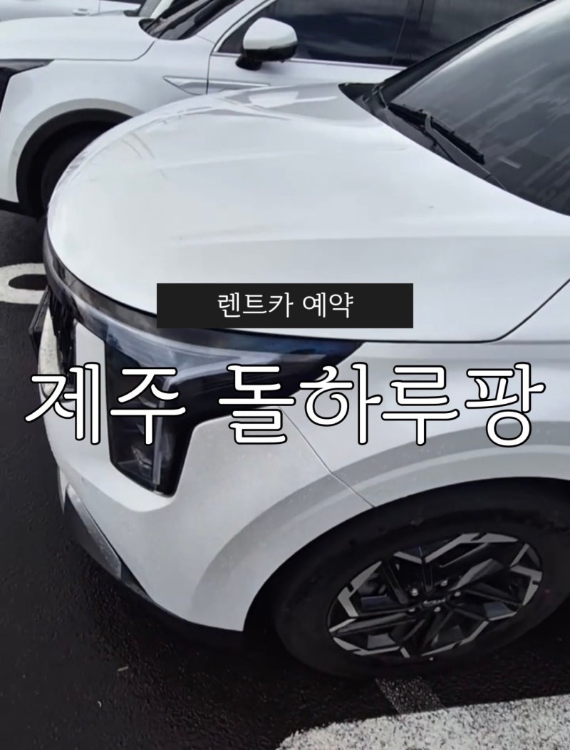 [제주] 제주 렌트카 돌하루팡 예약 후기, 카니발 9인승 운전자 2명 등록까지