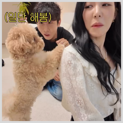 시각장애인 유튜버가 티파니와 박위 둘 다 만난 사연, 왜 비교되고 있을까?