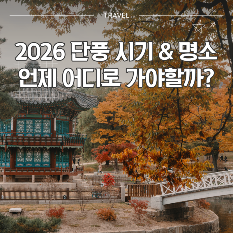 2026 단풍 시기 언제? 서울 경기도 강원도 단풍 명소 절정 총정리 예상 날짜 가볼만한 곳