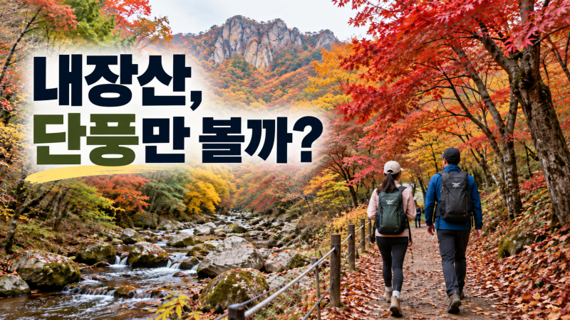 내장산 등산코스, 단풍길과 신선봉·서래봉 어디까지 갈까?
