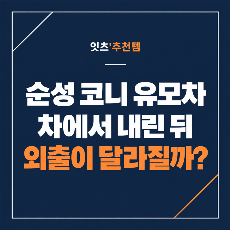 순성 코니 유모차 49만원, 캐리 연결·접힌 크기·사은품 구성 확인