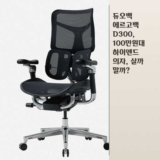 듀오백 에르고백 D300, 사무실 의자 고민 중이라면 이 부분만 보세요