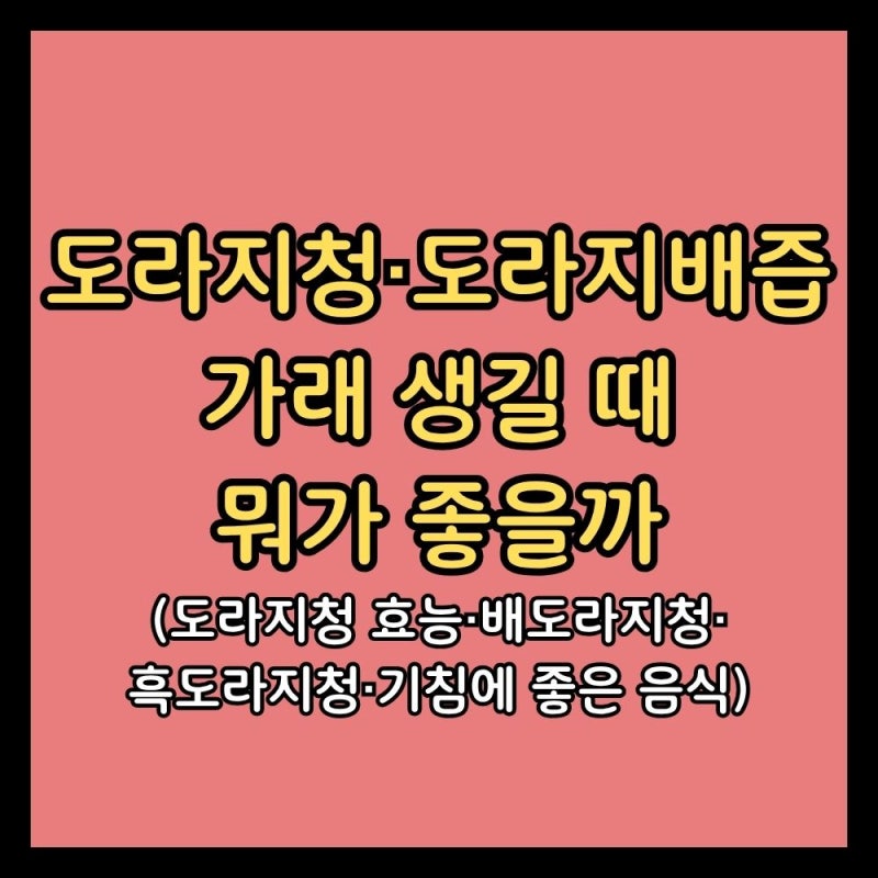 도라지청부터 도라지배즙까지, 가래 생길 때 뭐가 좋을까 (도라지청 효능·배도라지청·흑도....