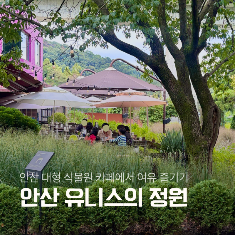 경기도 안산 가볼만한곳 대형 식물원카페 유니스의정원 정보 총정리