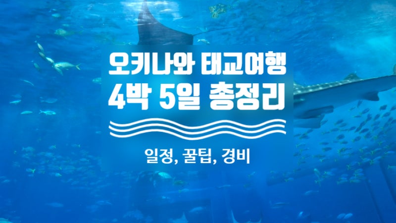 [일본 오키나와 태교여행]4박 5일 일정, 경비 총정리 | 경험담, 꿀팁, 예산 압축판