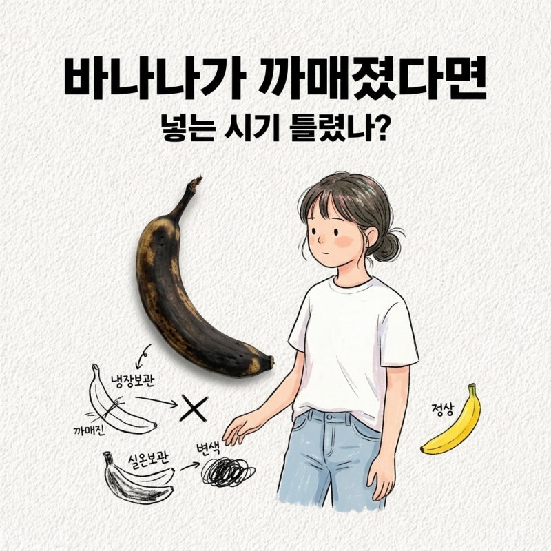 바나나 보관법 넣는 시기 틀리면 까매짐 냉장보관 실온보관 냉동보관 검게 변함 오래 보관