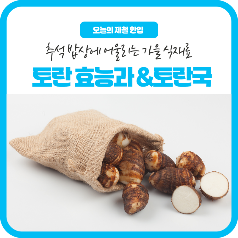 추석 밥상에 어울리는 가을 식재료, 토란 효능과 토란국 레시피