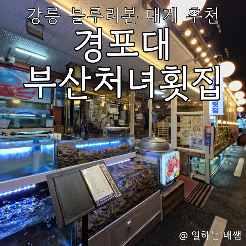 강릉 블루리본 횟집에서 오붓하게 대게 조진 후기, 경포대부산처녀횟집
