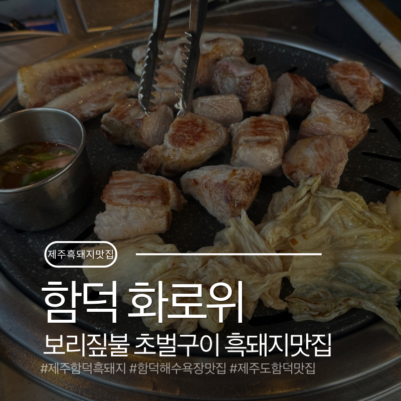 제주 함덕 흑돼지 맛집 화로위 | 함덕해수욕장 도보 1분거리로 현지인도 찾는 보리짚불구이 ....