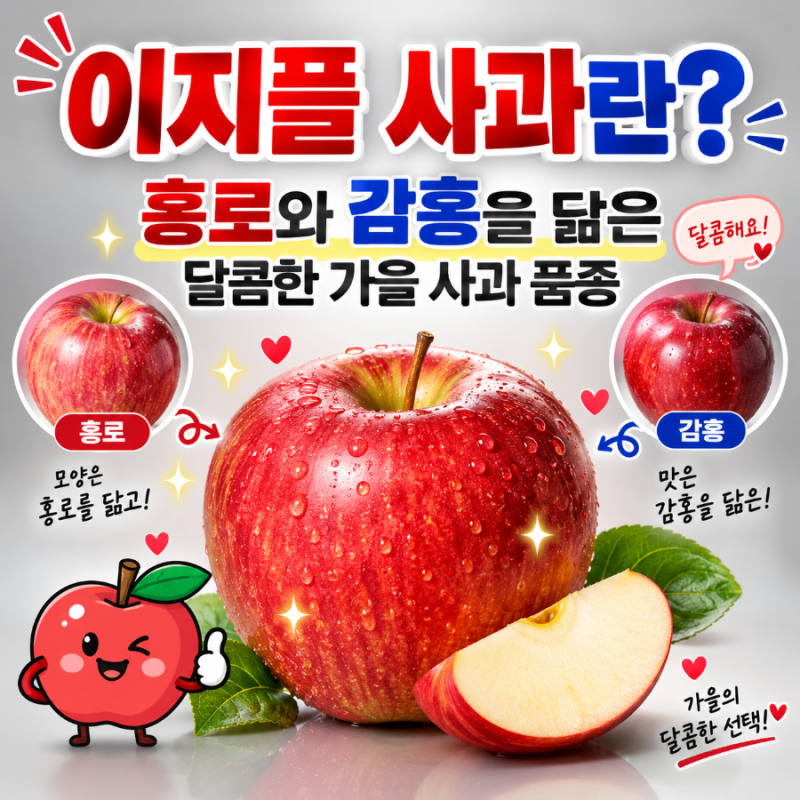 이지플 사과란?｜홍로와 감홍을 닮은 달콤한 가을 사과 품종