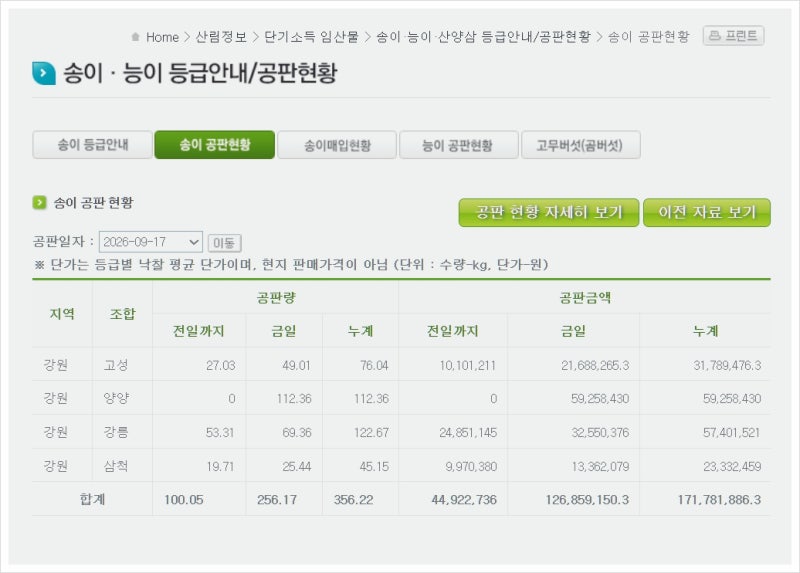 자연산송이버섯 시세 저렴하게 구입하는 전문가 노하우