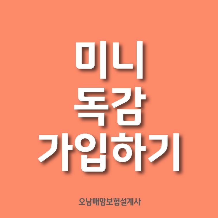 독감 보험 가입하기 (링크있음)