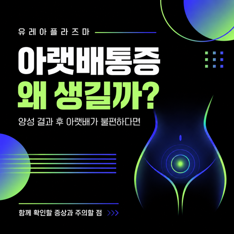 전남 광주 유레아플라즈마 아랫배통증 균 때문에 아픈 걸까 함께 확인할 증상