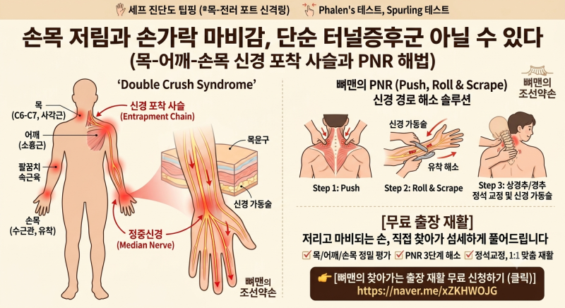 손목 저림과 손가락 마비감, 단순 터널증후군 아닐 수 있다 (목-어깨-손목 신경 포착 사슬과 P....