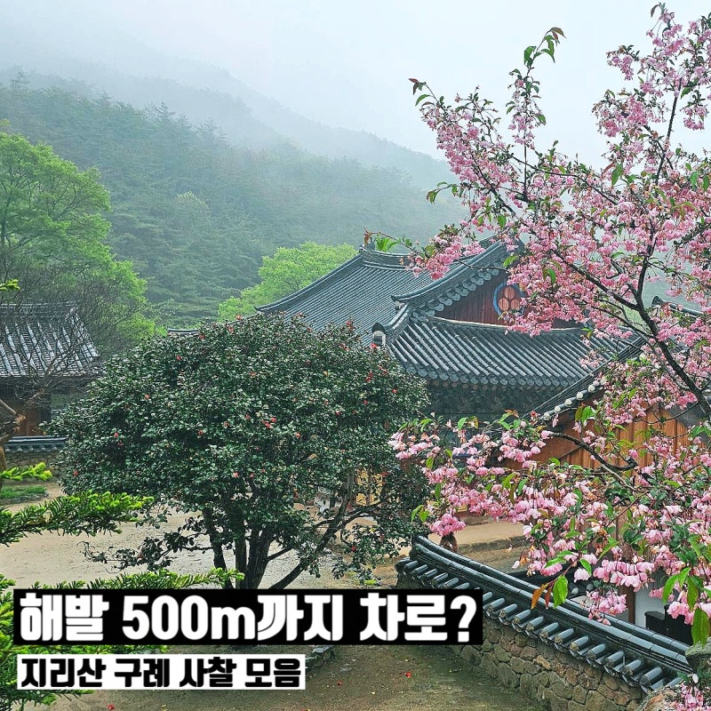 "해발 500m까지 차로?" 구례 사찰 명소 BEST7 여행 꿀팁
