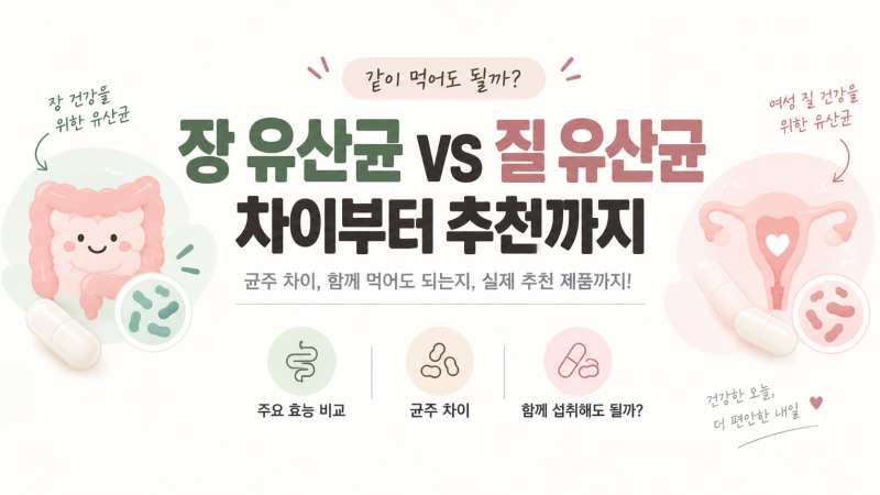 장유산균 질유산균 차이｜락토핏·펨도피러스 같이 먹어도 될까