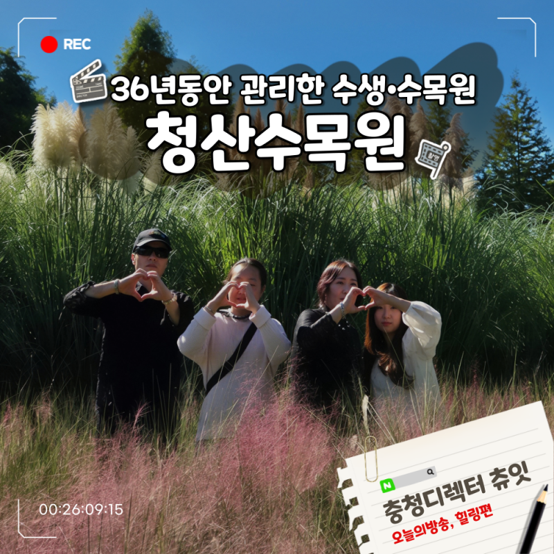 태안 9월 추석 명절 가족여행 가볼만한 곳 청산수목원 입장료 14000원 가을 팜파스 핑크뮬리 ....