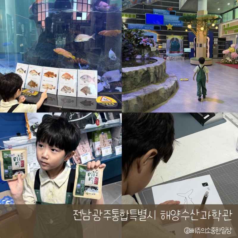 여수 가볼만한곳, 아이와 함께 다녀온 전남광주통합특별시 해양수산과학관 !