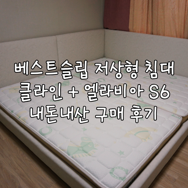 베스트슬립 용산 쇼룸 저상형 패밀리침대 클라인 엘라비아 S6 내돈내산 후기