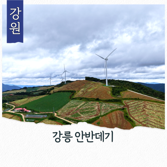 강원도 강릉 안반데기 가을 고랭지 배추밭 풍경 와우 안반데기 카페