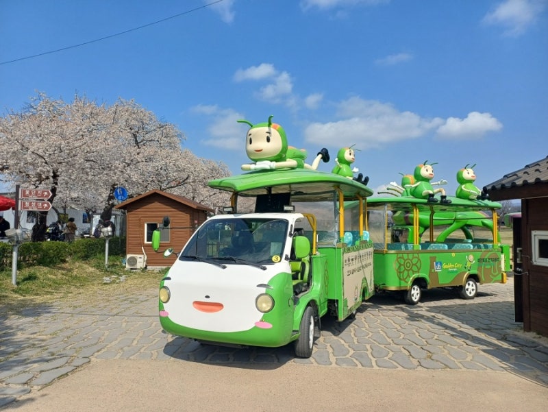 경주 가볼만한곳 비단벌레차 동선 온라인예매 방법 가격
