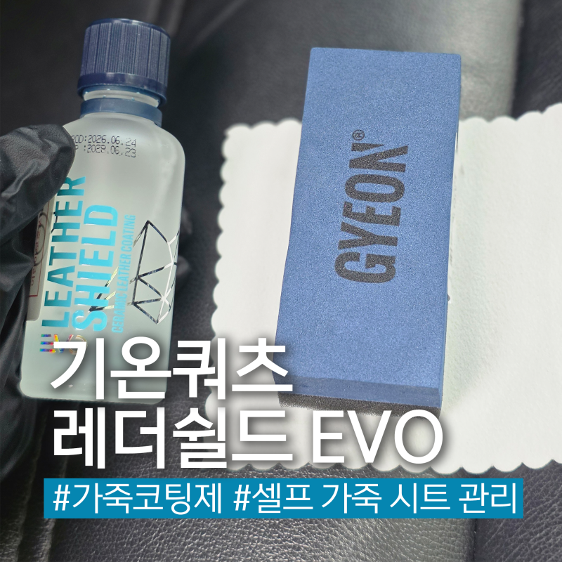 기온쿼츠 레더쉴드 EVO 가죽코팅제로 셀프 시트 보호한 후기