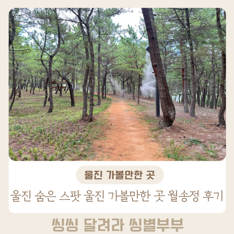 울진 가볼만한 곳 울진 여행코스 추천 월송정 방문후기