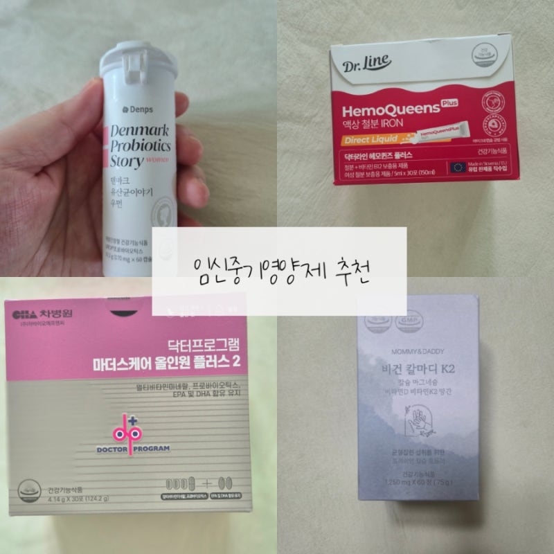 임산부 중기 영양제 추천 유산균·철분·칼슘·종합영양제 챙겨 먹는 법
