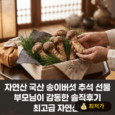 자연산 국산 송이버섯 추석 선물 부모님이 감동한 솔직후기