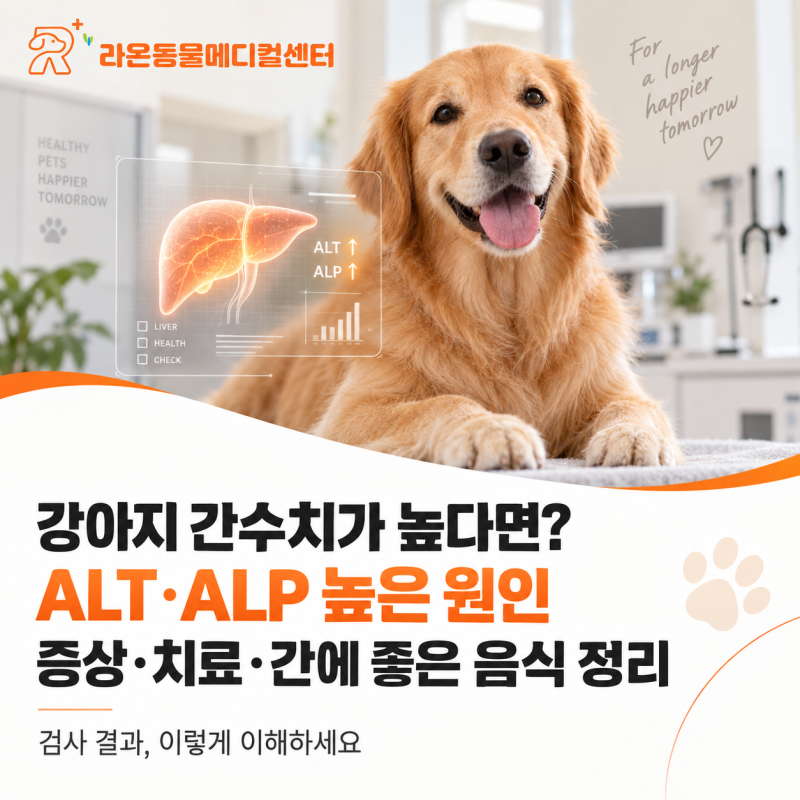 강아지 간수치가 높다면? ALT ALP 높은 원인 증상 치료 간에 좋은 음식 정리