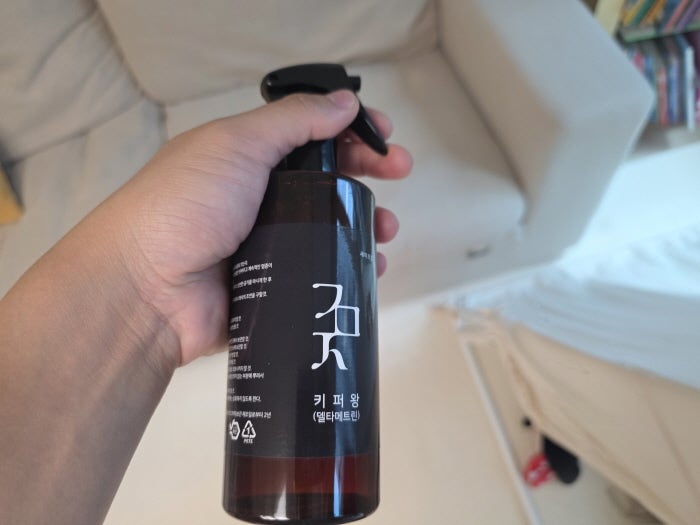초파리 없애는법 집에 계속 생길 때 직접 해본 관리 방법