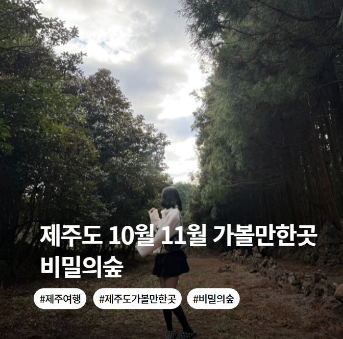 제주도 10월 11월 가볼만한곳 비밀의숲 제주 주차 소요시간 입장료