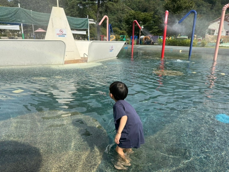 문경 에코월드 아이와 가볼만한곳 거미열차 물놀이까지 즐긴 후기