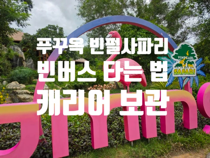 푸꾸옥 공항에서 빈펄사파리 가는법, 빈버스 17번 무료 탑승 + ATM 환전 수수료 꿀팁