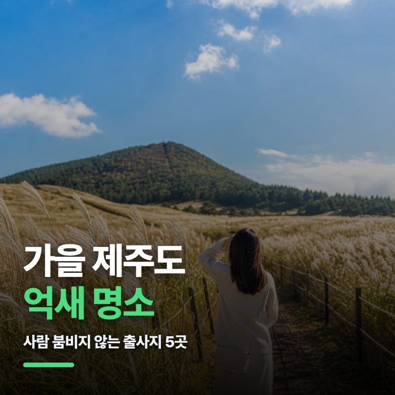 가을 제주도 억새 명소, 사람 붐비지 않는 출사지 5곳