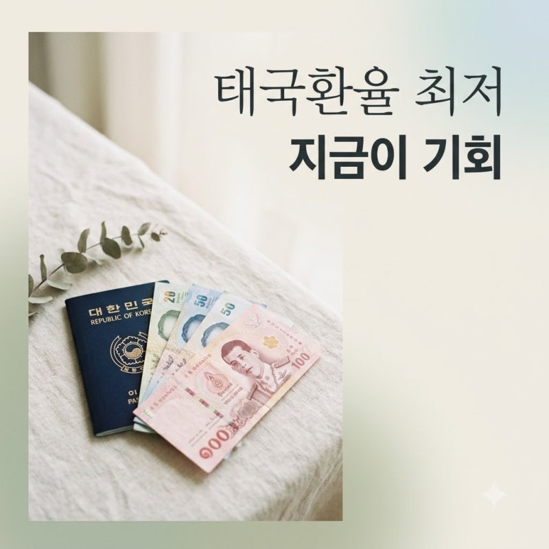 "지금 아니면 못 간다?" 태국환율 6년 만에 최저치, 여행객들 난리 난 근황..