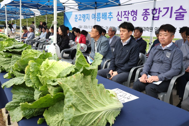 기후변화 대응 준고랭지 여름배추, 신품종 하라듀·고온경감 기술 현장평가